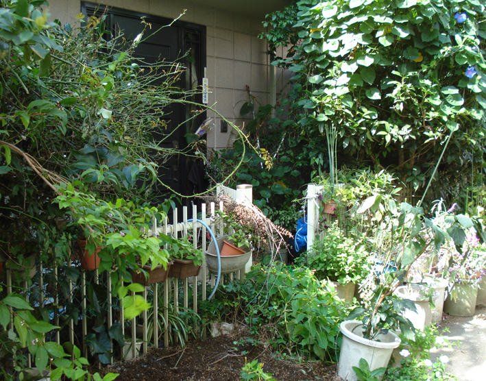 daikanyama 3
