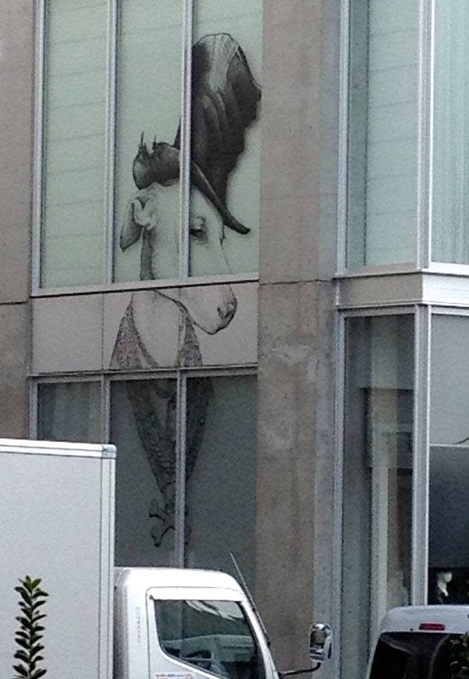 dogwindow